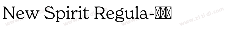 New Spirit Regula字体转换